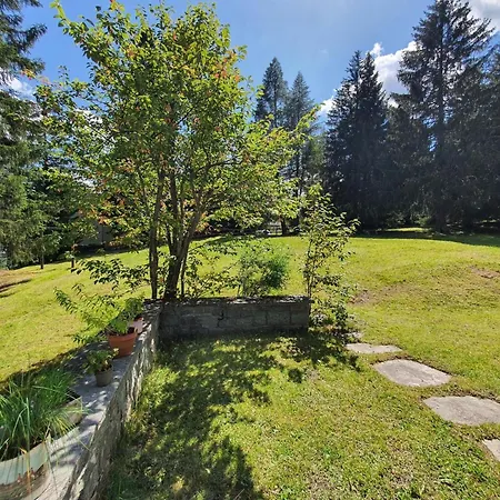 Tina By Interhome * 伦策海德